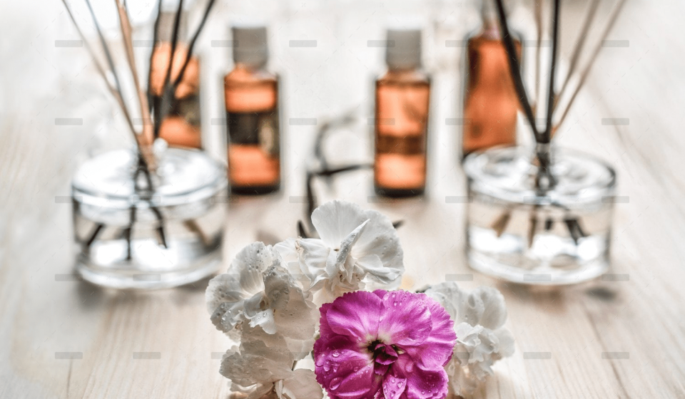 demo-attachment-402-rectangle-1-flowers